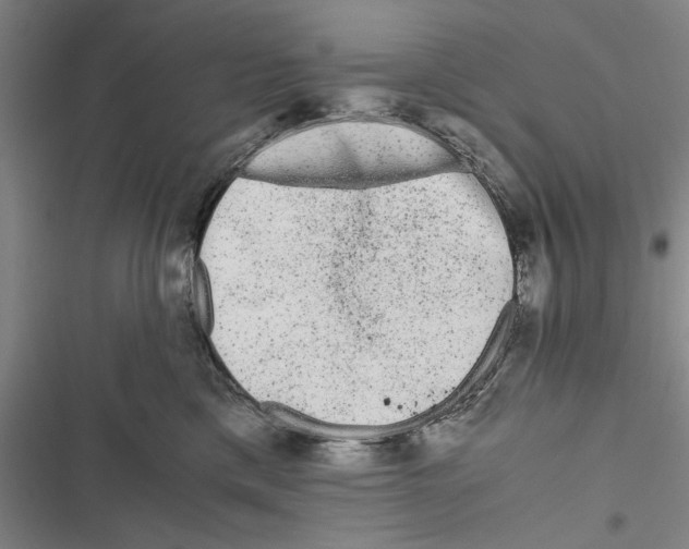 X0000116800425201001151126
