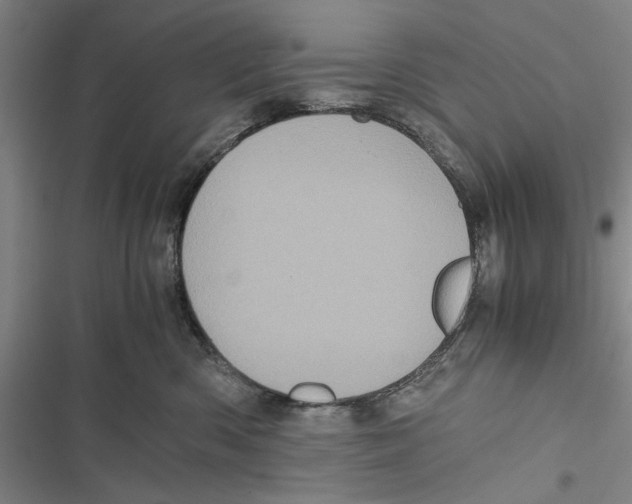 X0000116800426201001151126