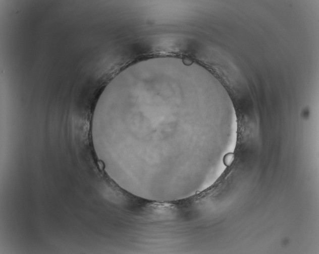 X0000116800427201001151126