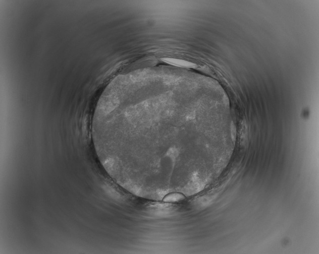 X0000116800428201001151126