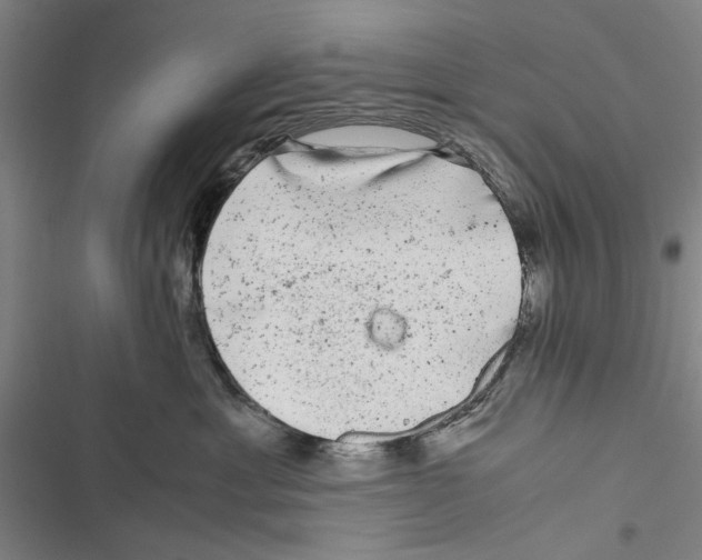 X0000116800429201001151126