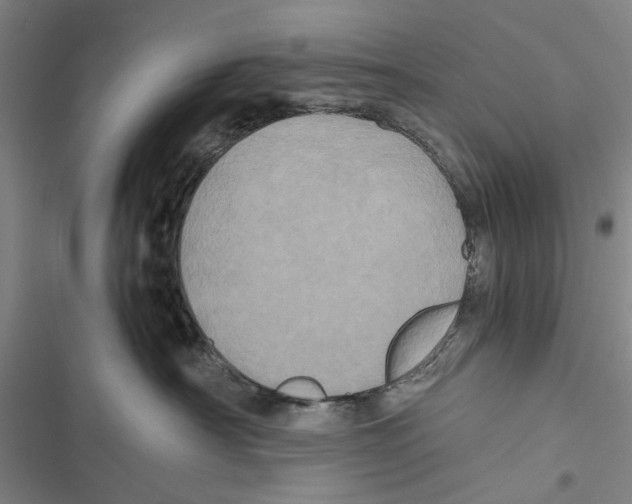 X0000116800430201001151126