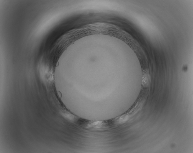 X0000116800431201001151126