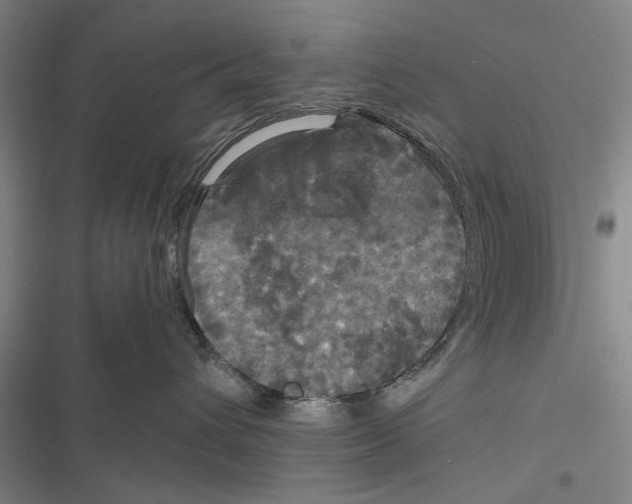 X0000116800432201001151126