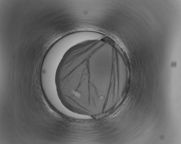 X0000116800433201001151126