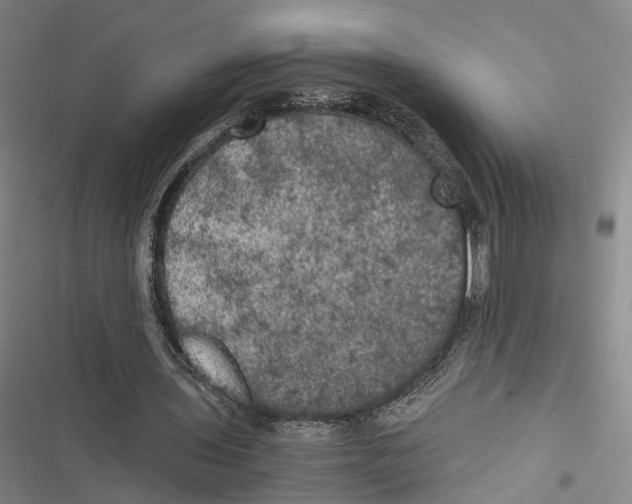 X0000116800435201001151126