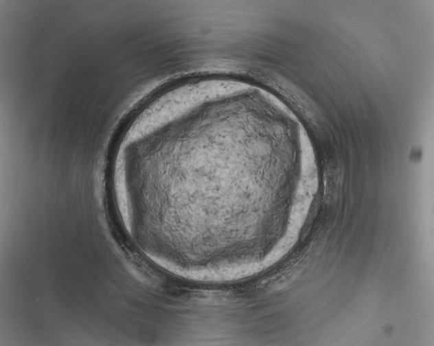 X0000116800436201001151126