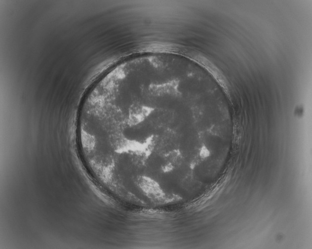 X0000116800437201001151126