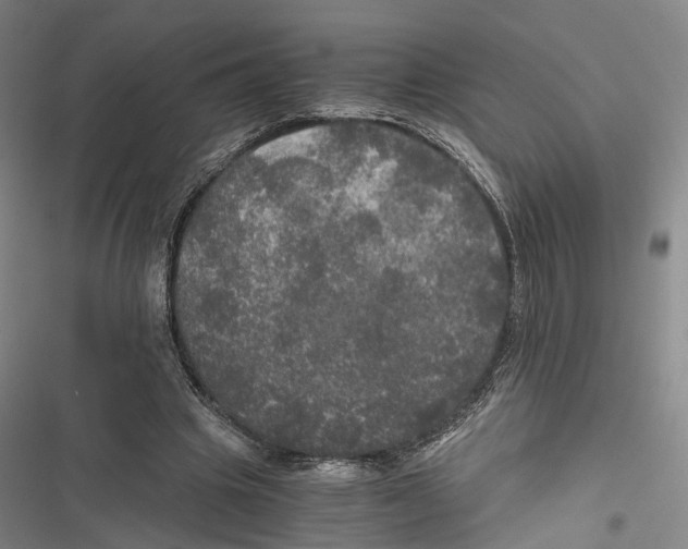 X0000116800441201001151126
