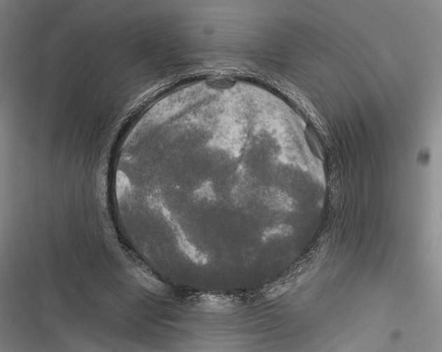 X0000116800442201001151126