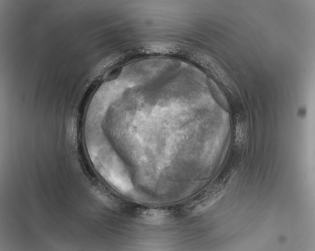 X0000116800444201001151126