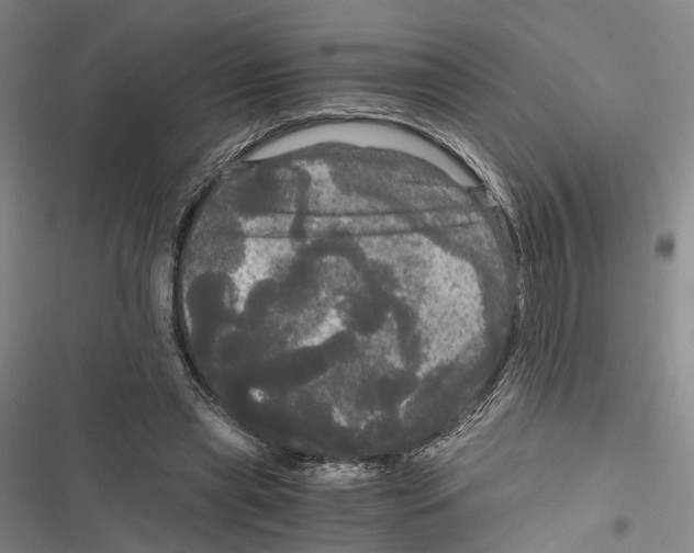 X0000116800445201001151126
