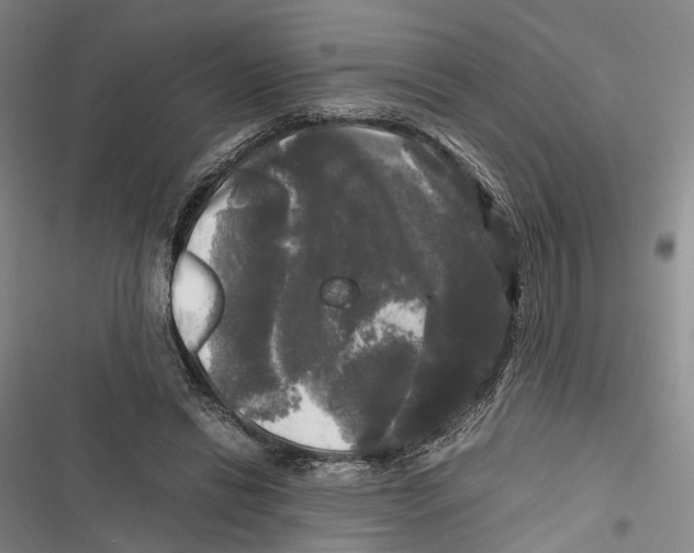 X0000116800446201001151126