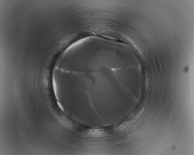 X0000116800451201001151126