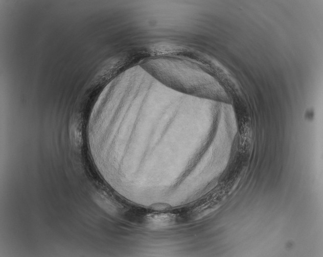 X0000116800452201001151126