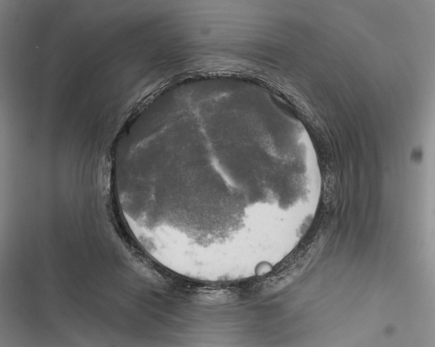 X0000116800454201001151126