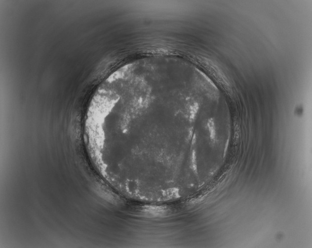 X0000116800457201001151126