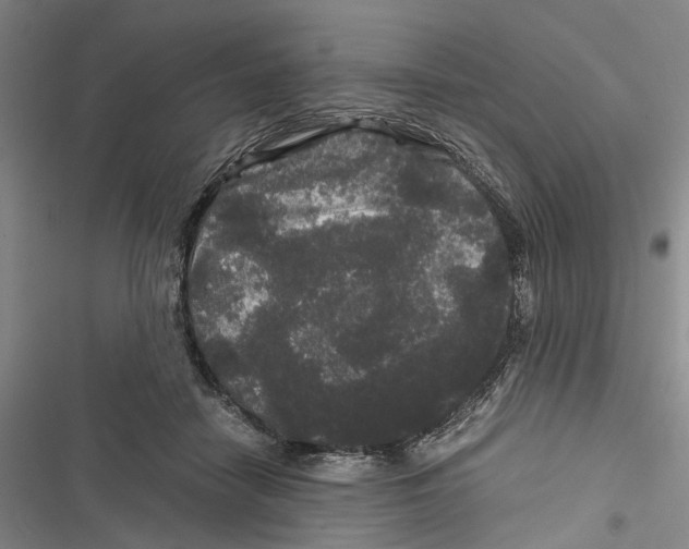 X0000116800458201001151126