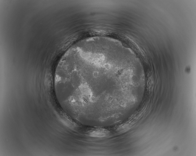 X0000116800459201001151126
