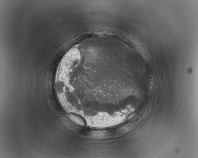 X0000116800461201001151126