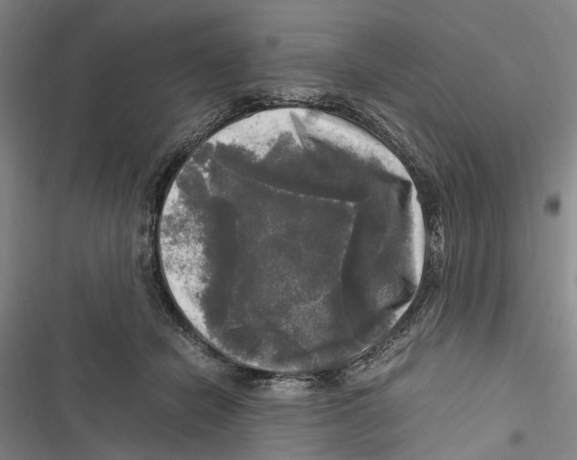 X0000116800462201001151126