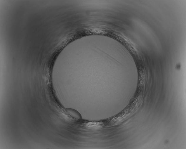 X0000116800465201001151126