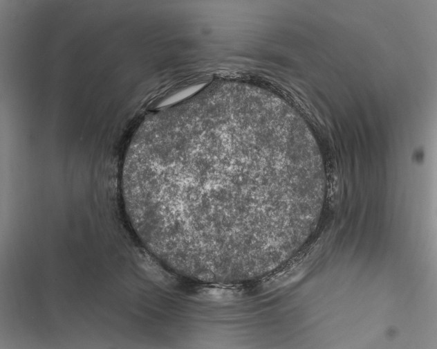 X0000116800466201001151126