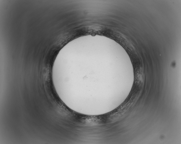 X0000116800468201001151126
