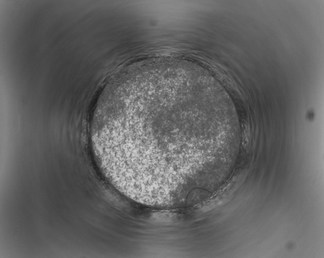 X0000116800470201001151126