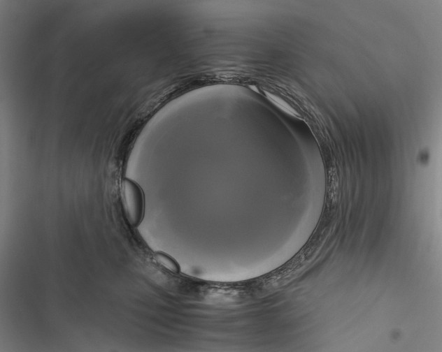 X0000116800471201001151126