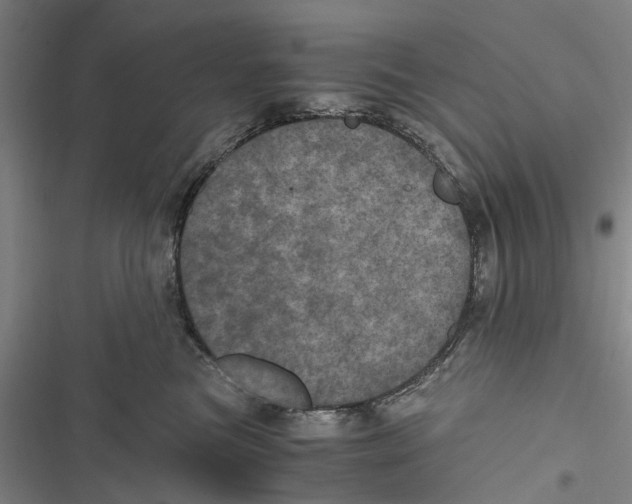 X0000116800473201001151126