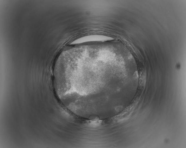 X0000116800474201001151126