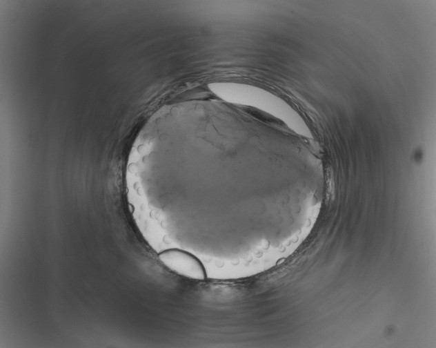 X0000116800475201001151126