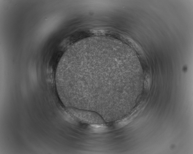 X0000116800477201001151126