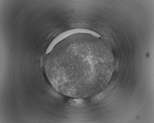 X0000116800478201001151126