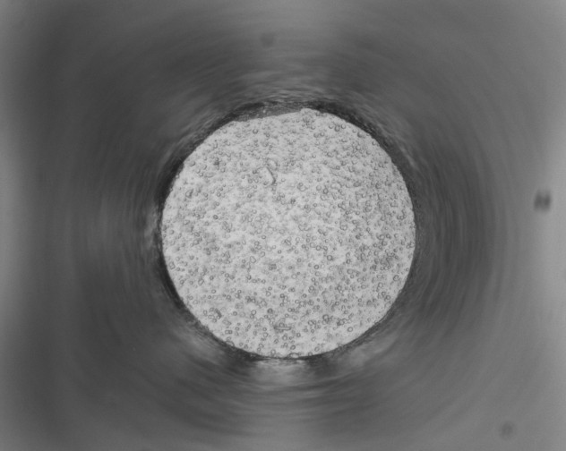 X0000116800480201001151126