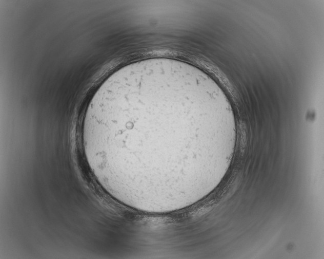 X0000116800482201001151126