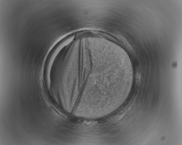 X0000116800484201001151126