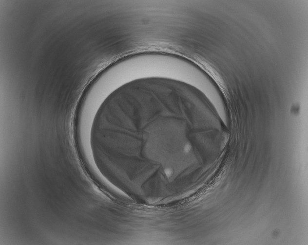 X0000116800485201001151126