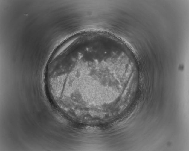 X0000116800487201001151125
