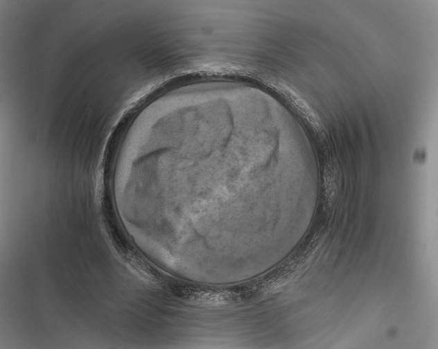 X0000116800488201001151125