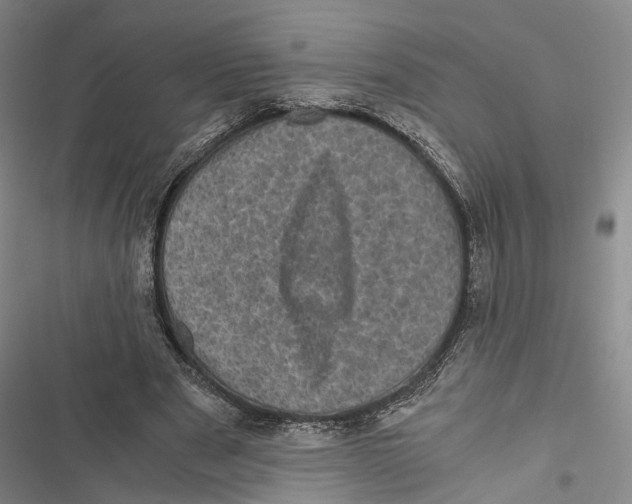 X0000116800489201001151125