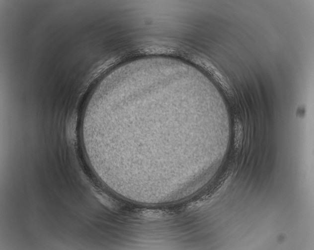 X0000116800490201001151125