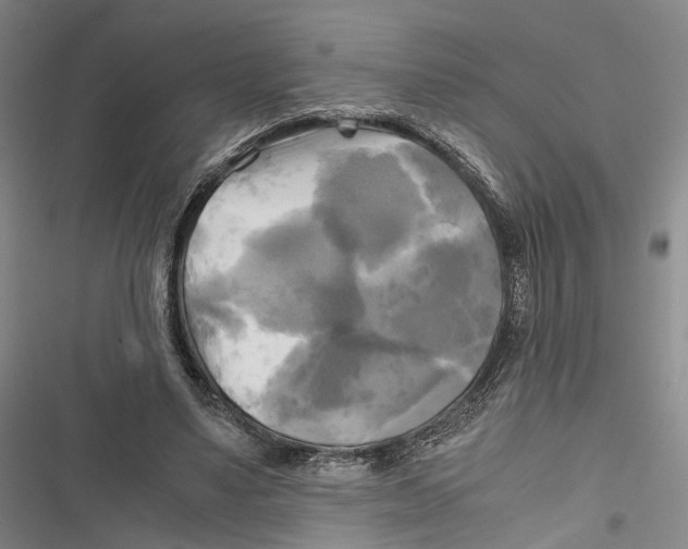 X0000116800491201001151125