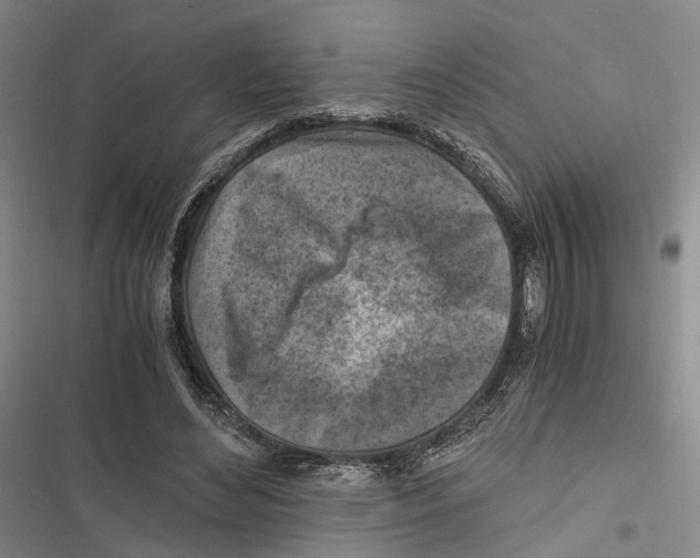 X0000116800492201001151125