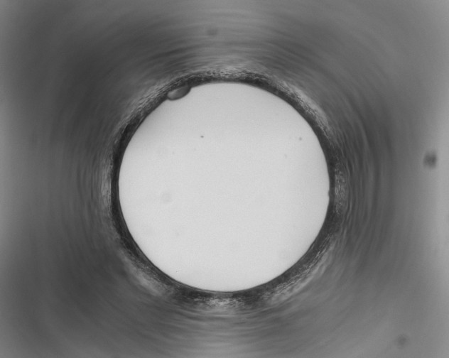 X0000116800493201001151125
