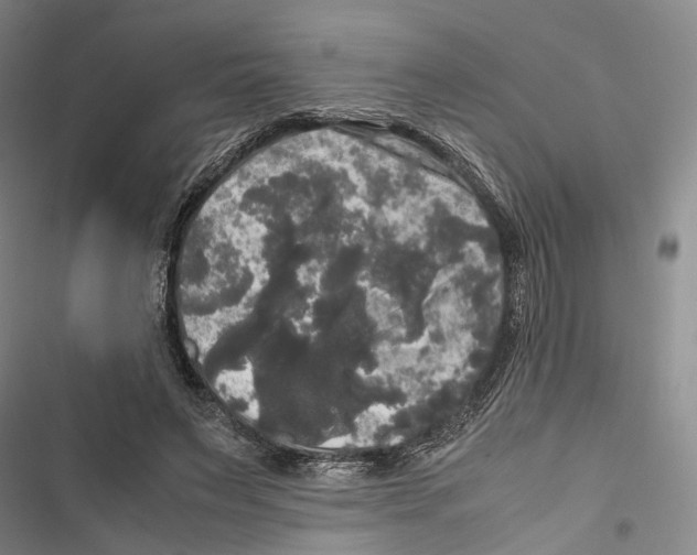 X0000116800495201001151125