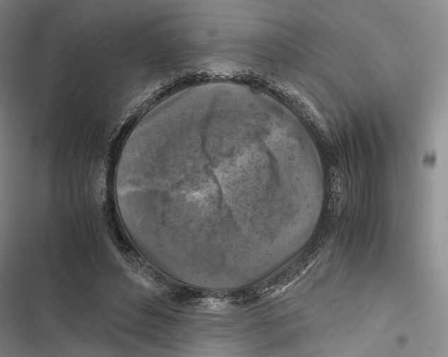 X0000116800496201001151125