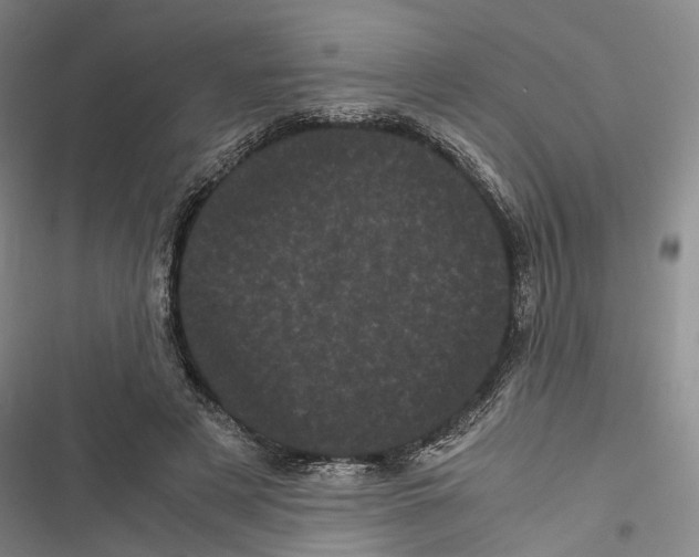 X0000116800497201001151125