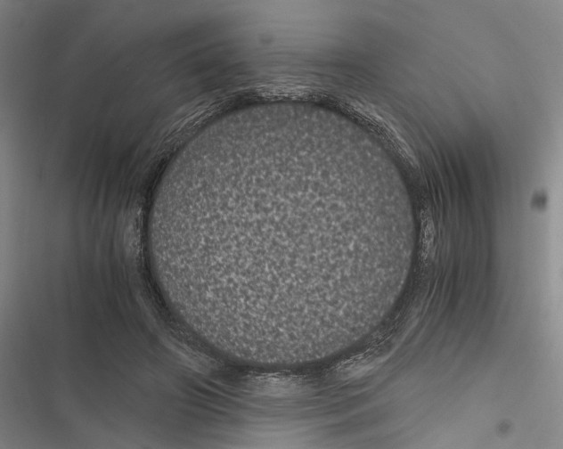 X0000116800498201001151125